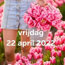 Bezoek tulpenvelden 22 april 2022