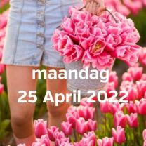 Bezoek tulpenvelden 25 april 2022