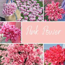 Pink Power Mix