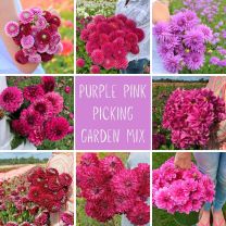 Mix Pluktuin paars-roze