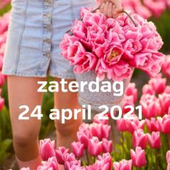 Bezoek tulpenvelden 24 april 2021