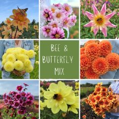 Mix Vlinders en bijen