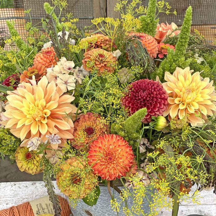 Mix Sunset Orange - flowerseeds + dahlia