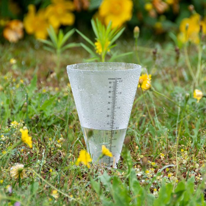 Rain gauge