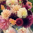 Mix Autumn