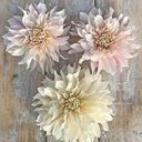 Mix Dahlia Dream