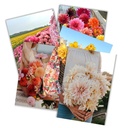 Set of 5 gift cards