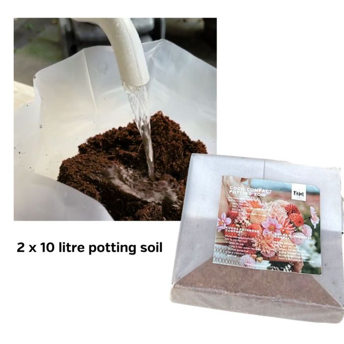 Spring Flower starter kit