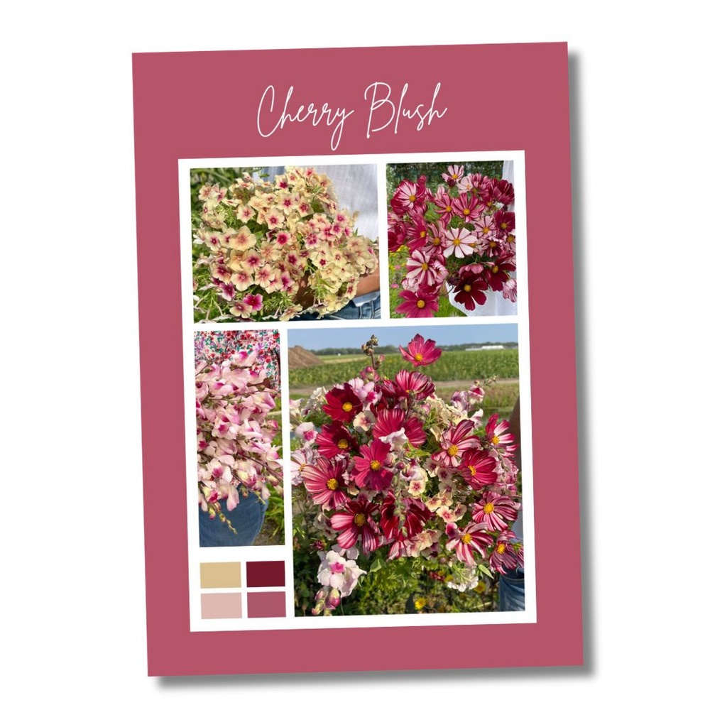 Mix Cherry Blush 3x flowerseeds