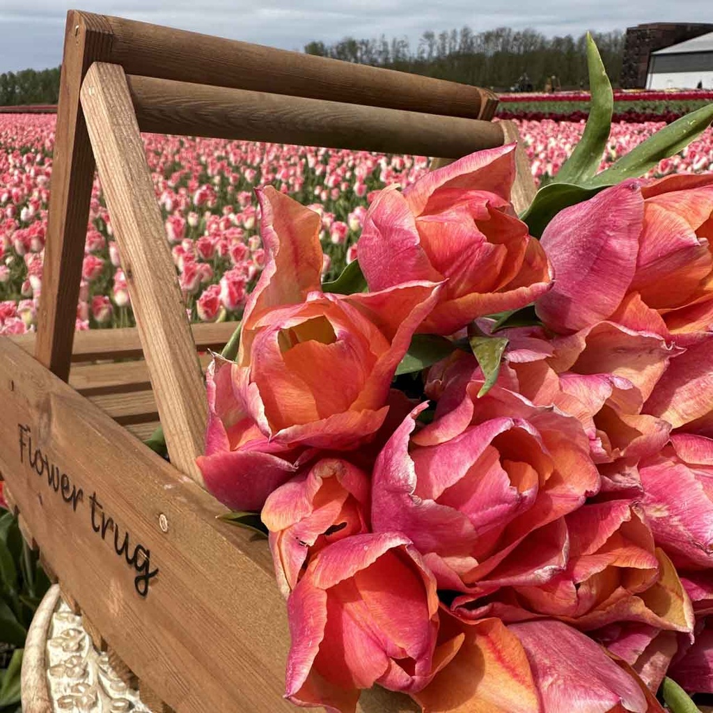 Bloemenplukmand hout