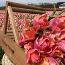 Bloemenplukmand hout