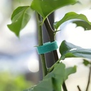 Plantenbinder klittenband