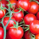 Cherry Tomaten Sweetie