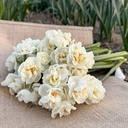 Narcissus Bridal Crown