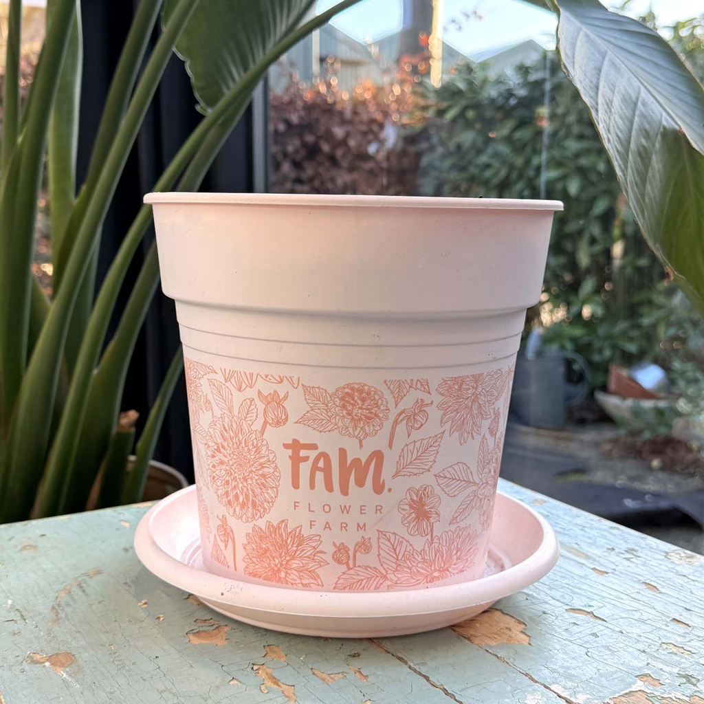 FAM plantenpot voor dahlia's - 5 stuks