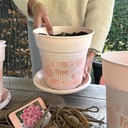 FAM plantenpot voor dahlia's - 5 stuks