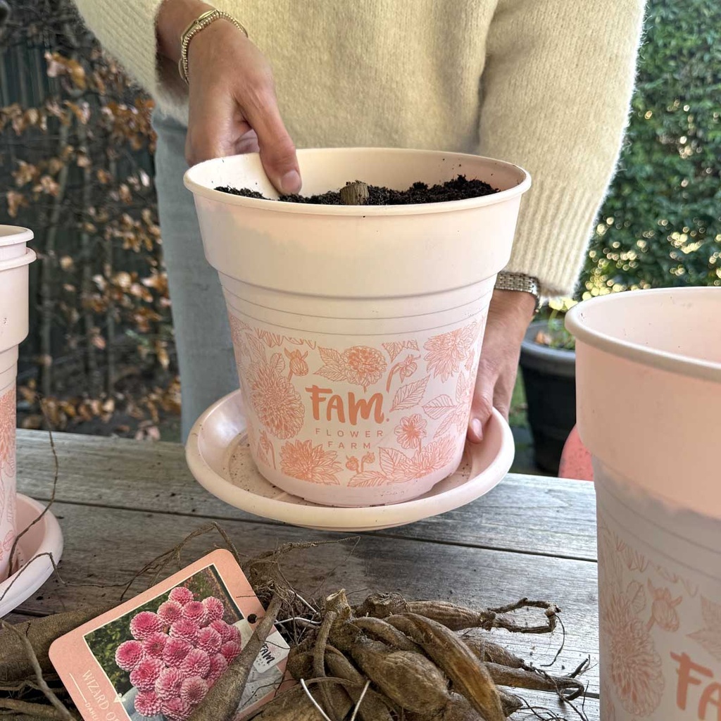 FAM plantenpot + schotel voor dahlia's - set van 5