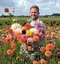 Mix Boer Tom's favoriete dahlia's