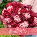 Mix Royal (30 st.)