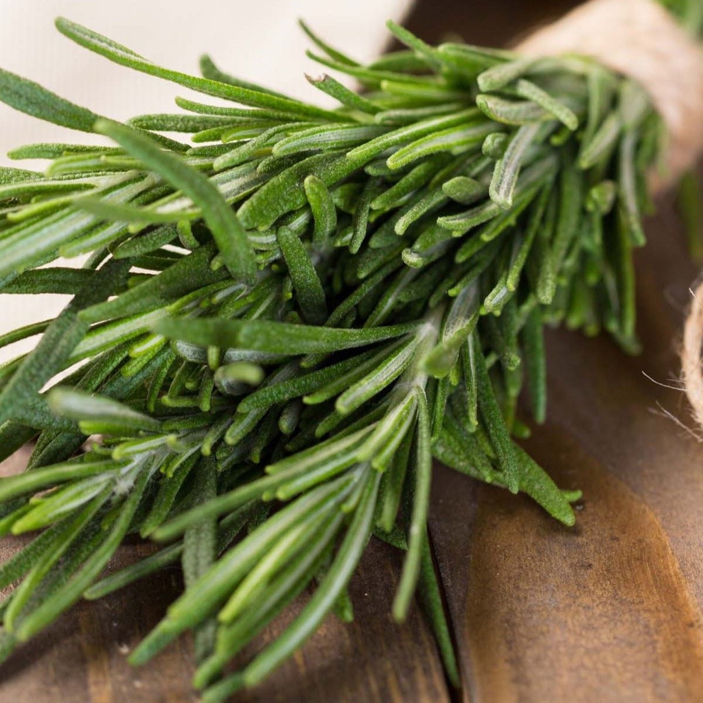 Rosemary 