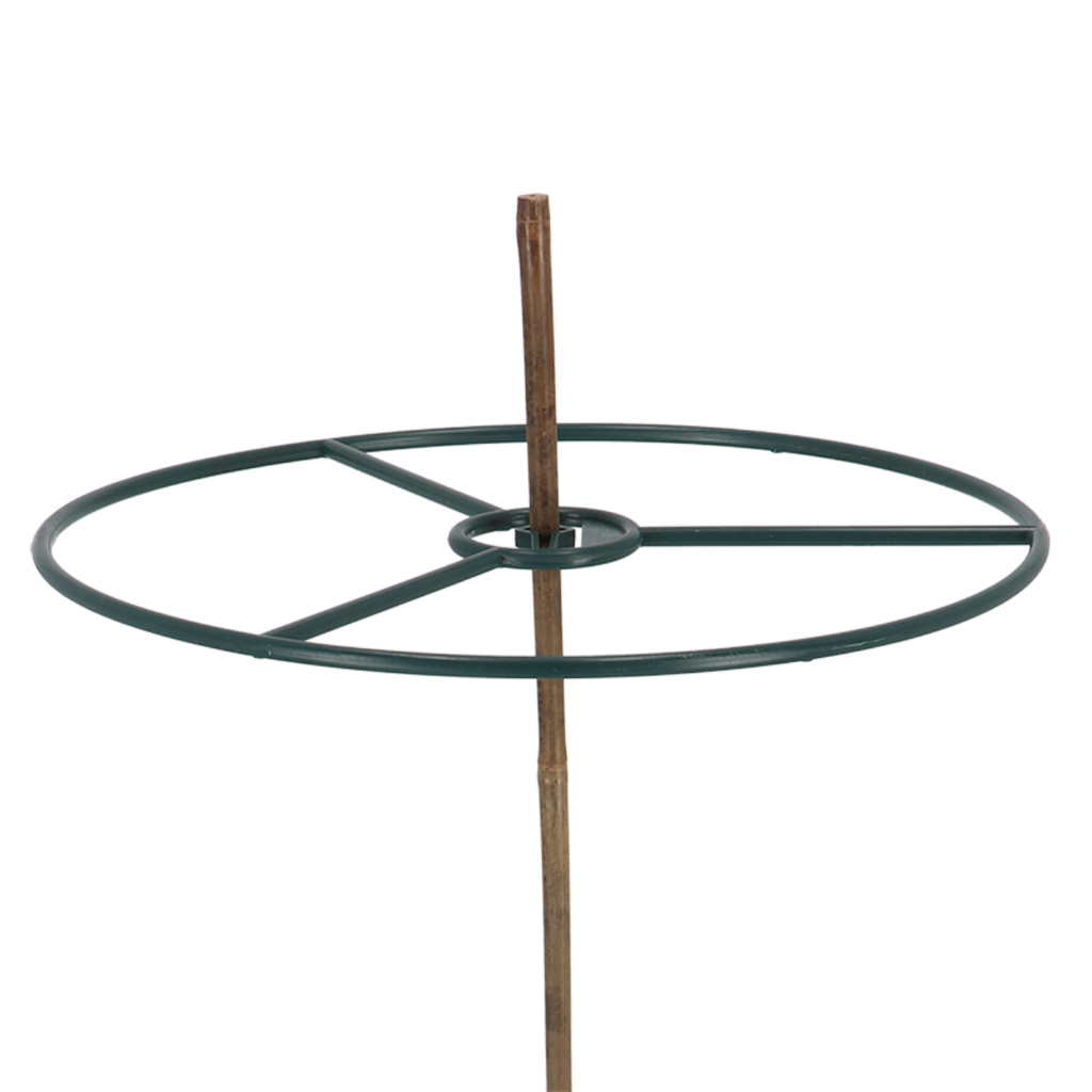 Plantenring bamboestokken set van 2