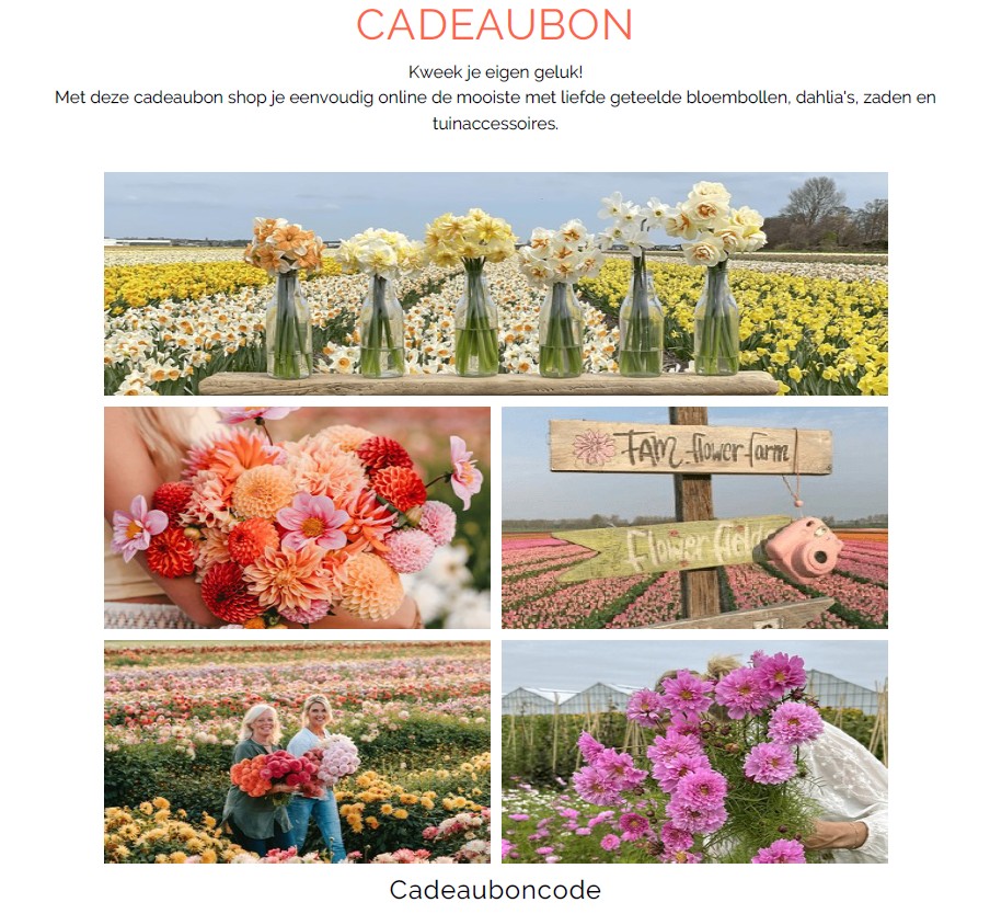 Cadeau bon digitaal