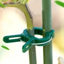 Plantenklemmetjes - 10 st.