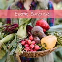 Exotic Surprise  (9 soorten)