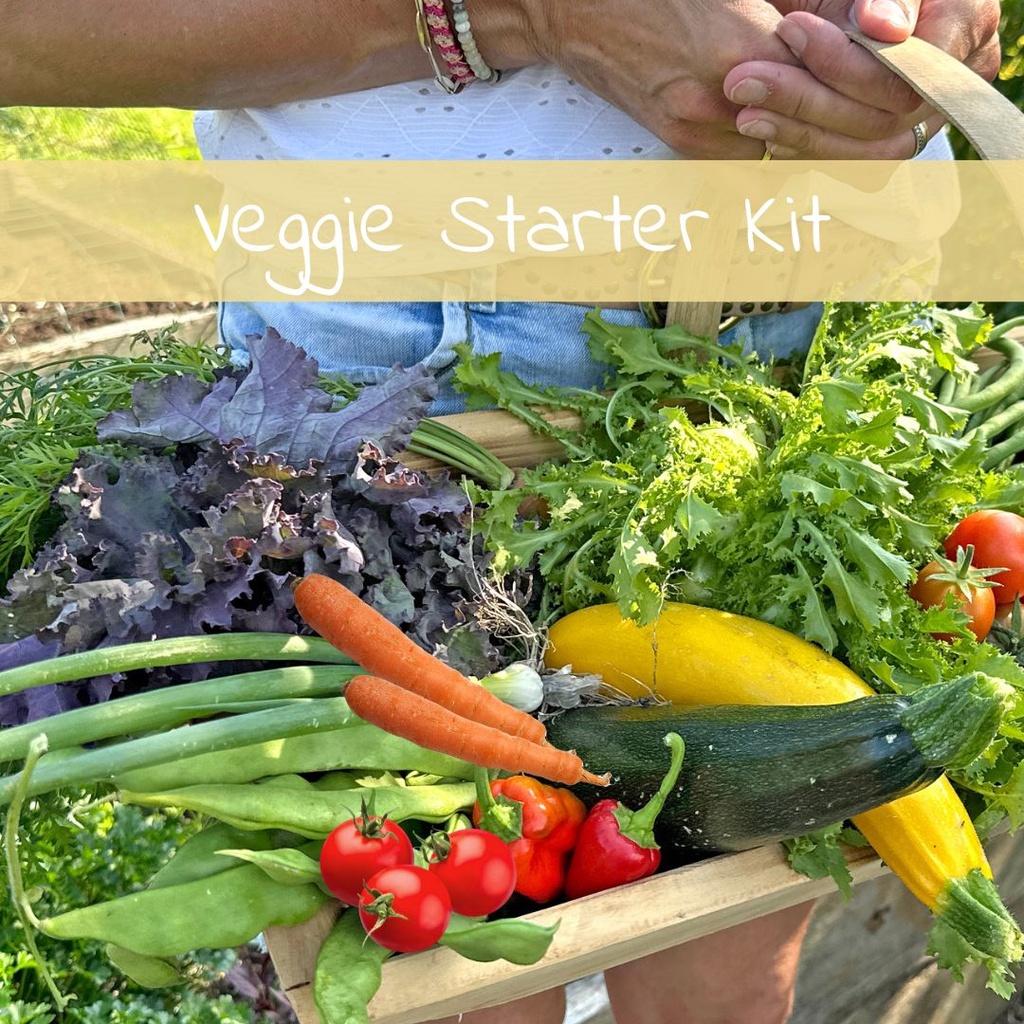Veggie Starter Kit (10 varieties)