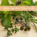 Herb garden favourites (8 varieties)