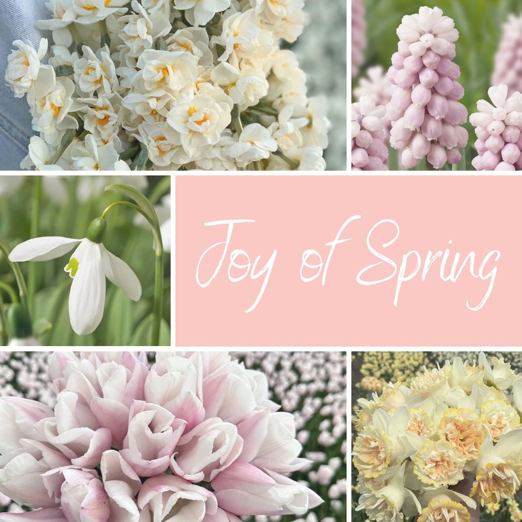 Mix Joy of Spring