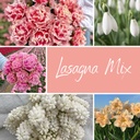 Mix Lasagna