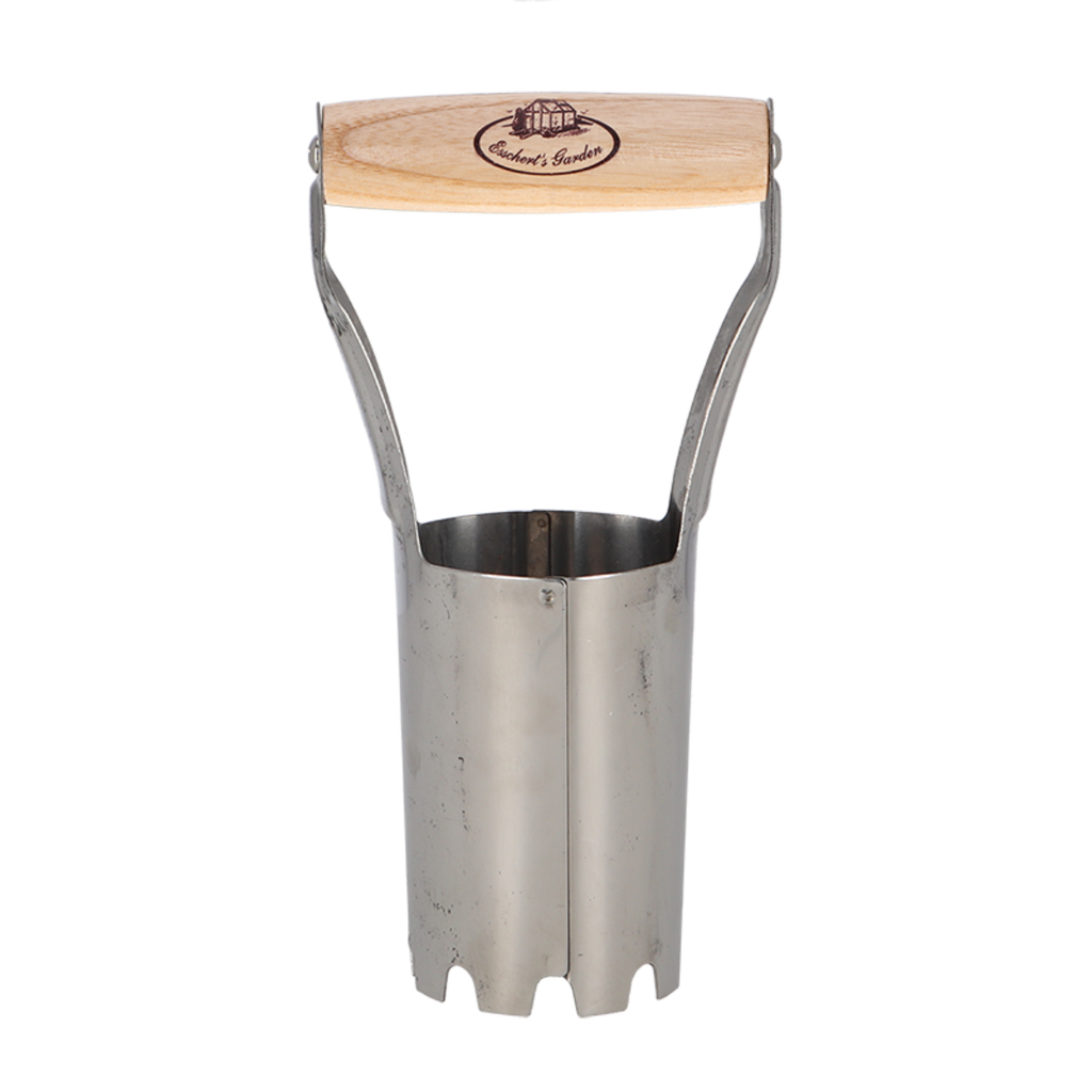 Bollenplanter
