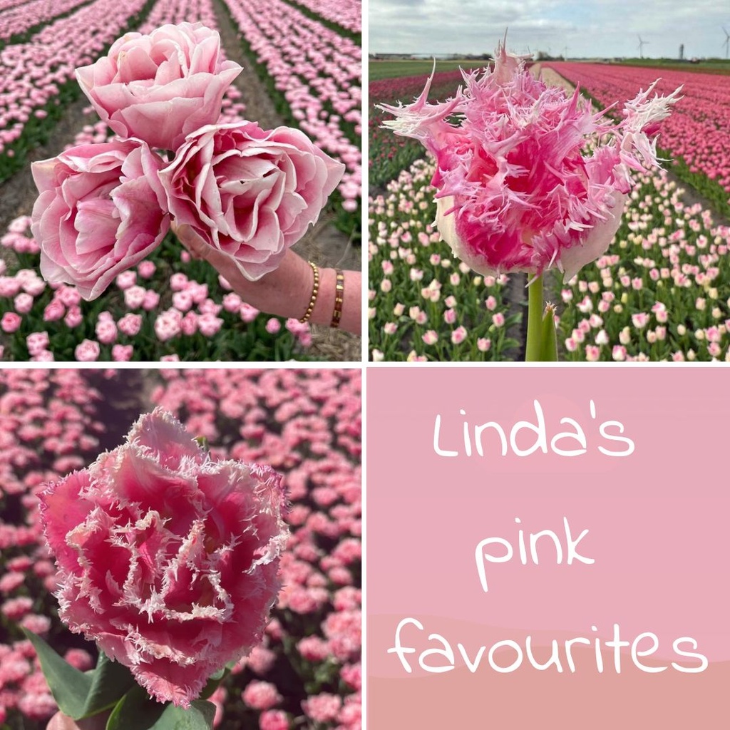 Linda's pink favourites