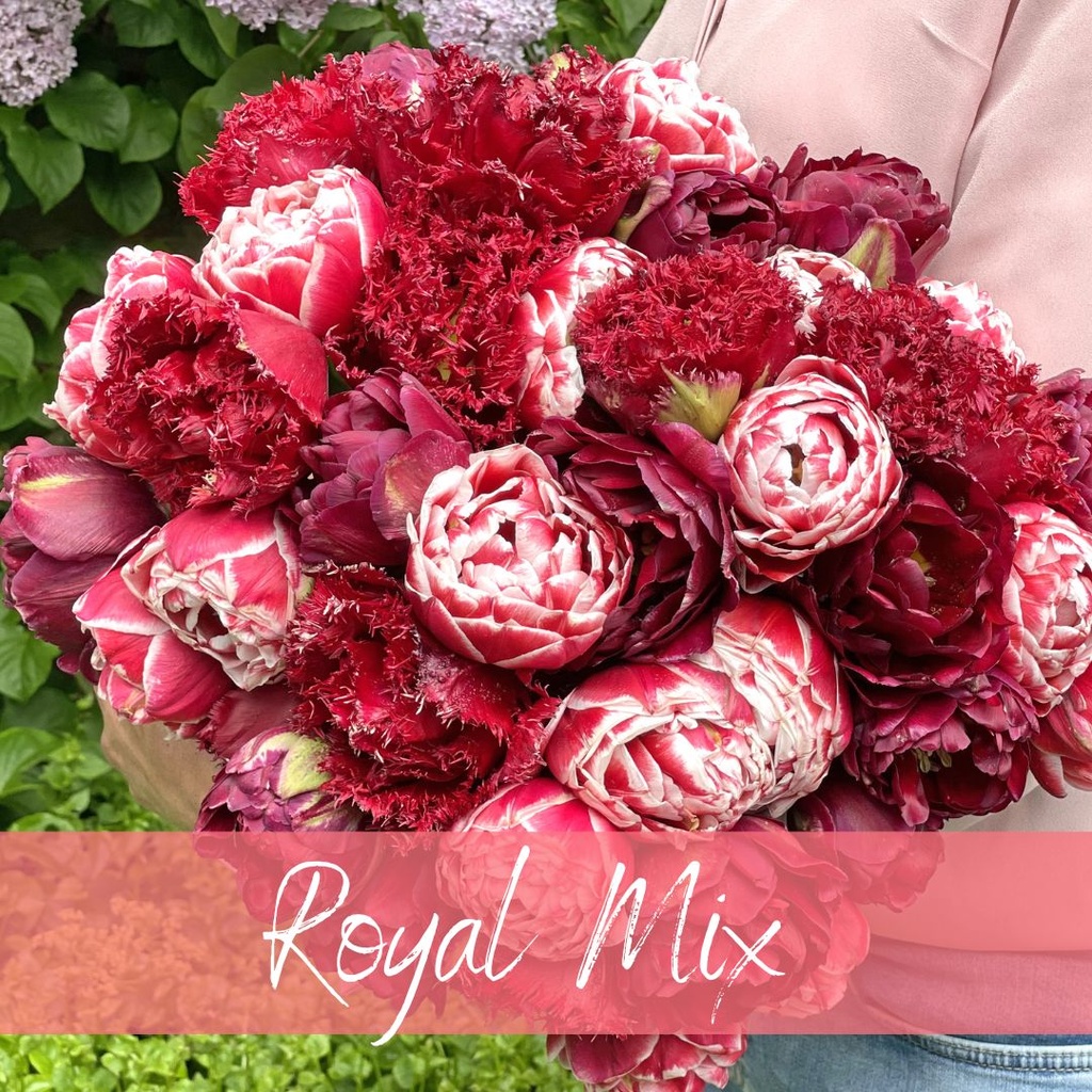 Mix Royal (30 bulbs)