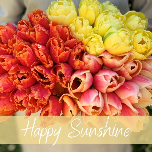 Mix Happy Sunshine