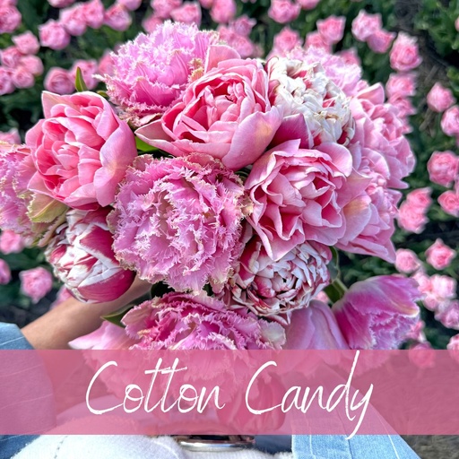 Mix Cotton Candy