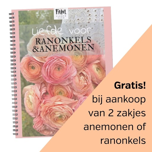 Boekje Liefde voor Ranonkels & Anemonen